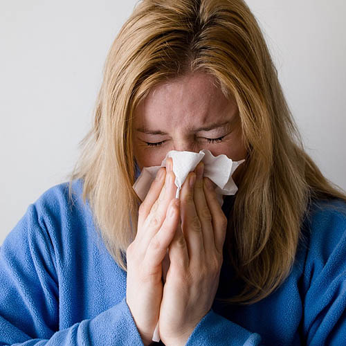 Vue interieure de la Pharmacie de la Maine